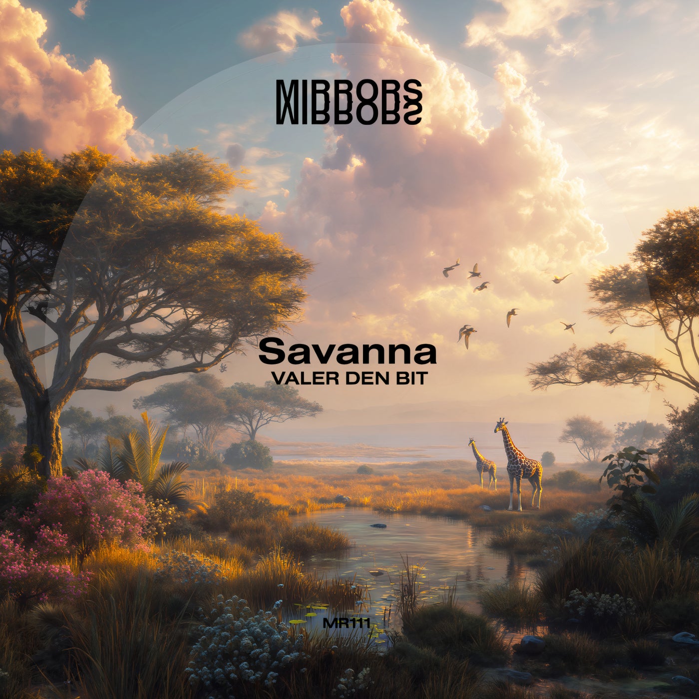 Cover - Valer den Bit - Savanna (Original Mix) Promo tools