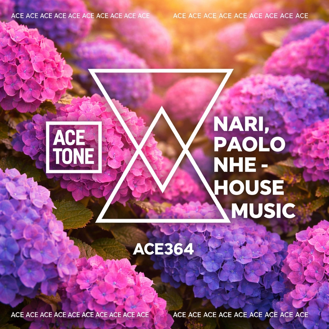 Cover - Nari, Paolo nhe - House Music (Original Mix) Promo tools