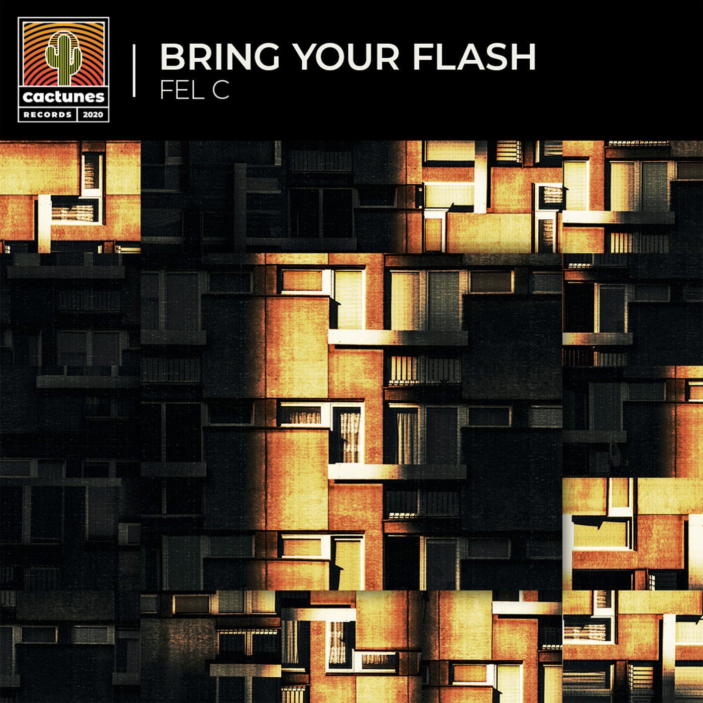 Cover - Fel C - Bring Your Flash (Original Mix) Promo tools