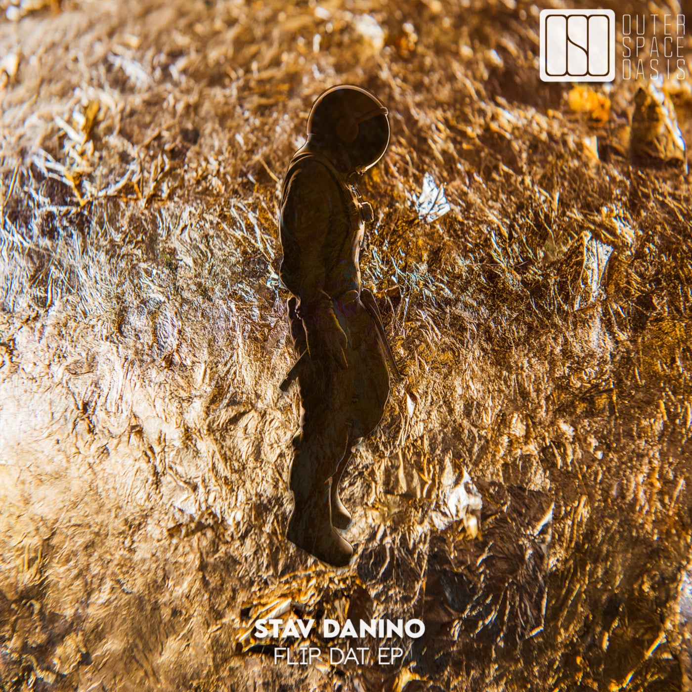 Cover - Stav danino - Flip Dat (Original Mix) Promo tools