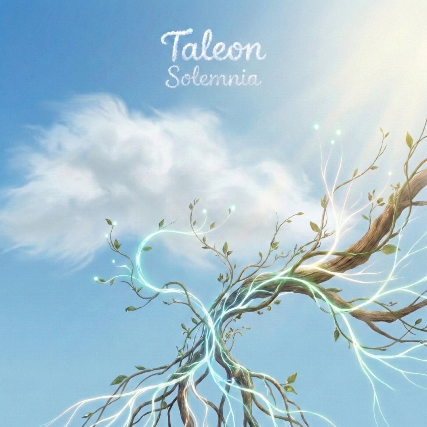 Cover - Taleon - Solemnia (Original Mix) Promo tools