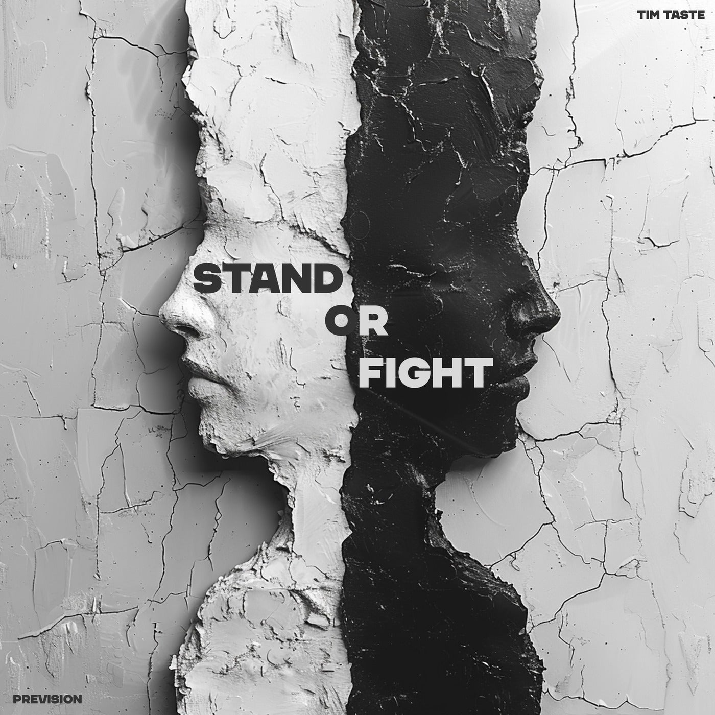 Cover - TiM TASTE, Prevision - Stand Or Fight (Original Mix) Promo tools