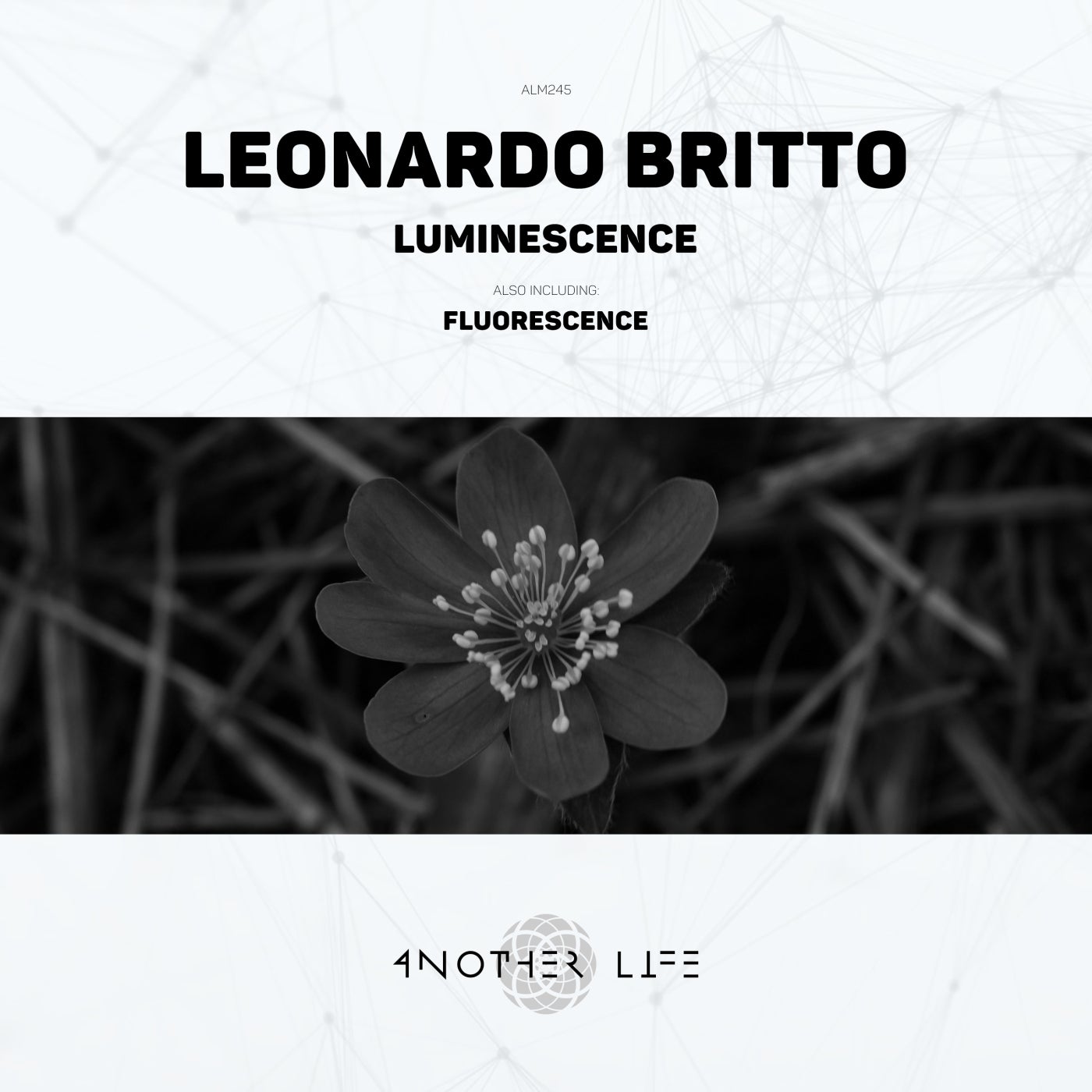 Cover - Leonardo Britto - Luminescence (Original Mix) Promo tools