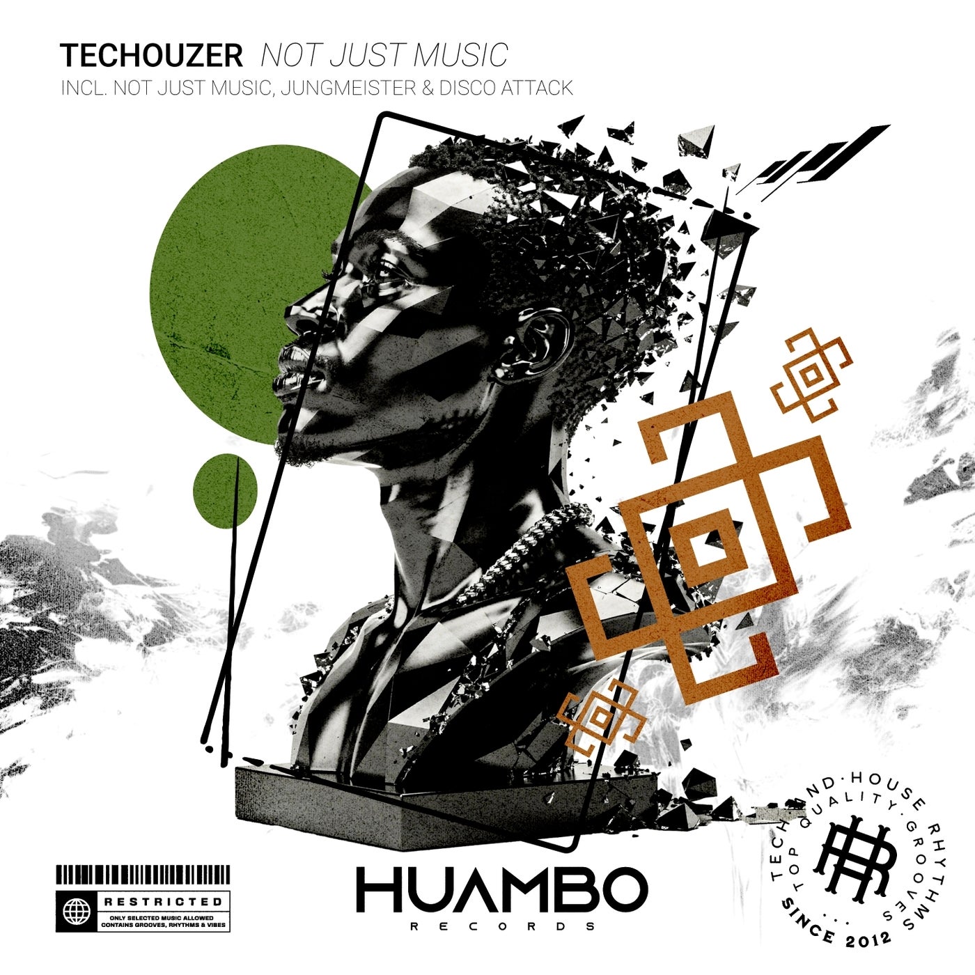 Cover - Techouzer - Not Just Music (Extended Mix) Promo tools