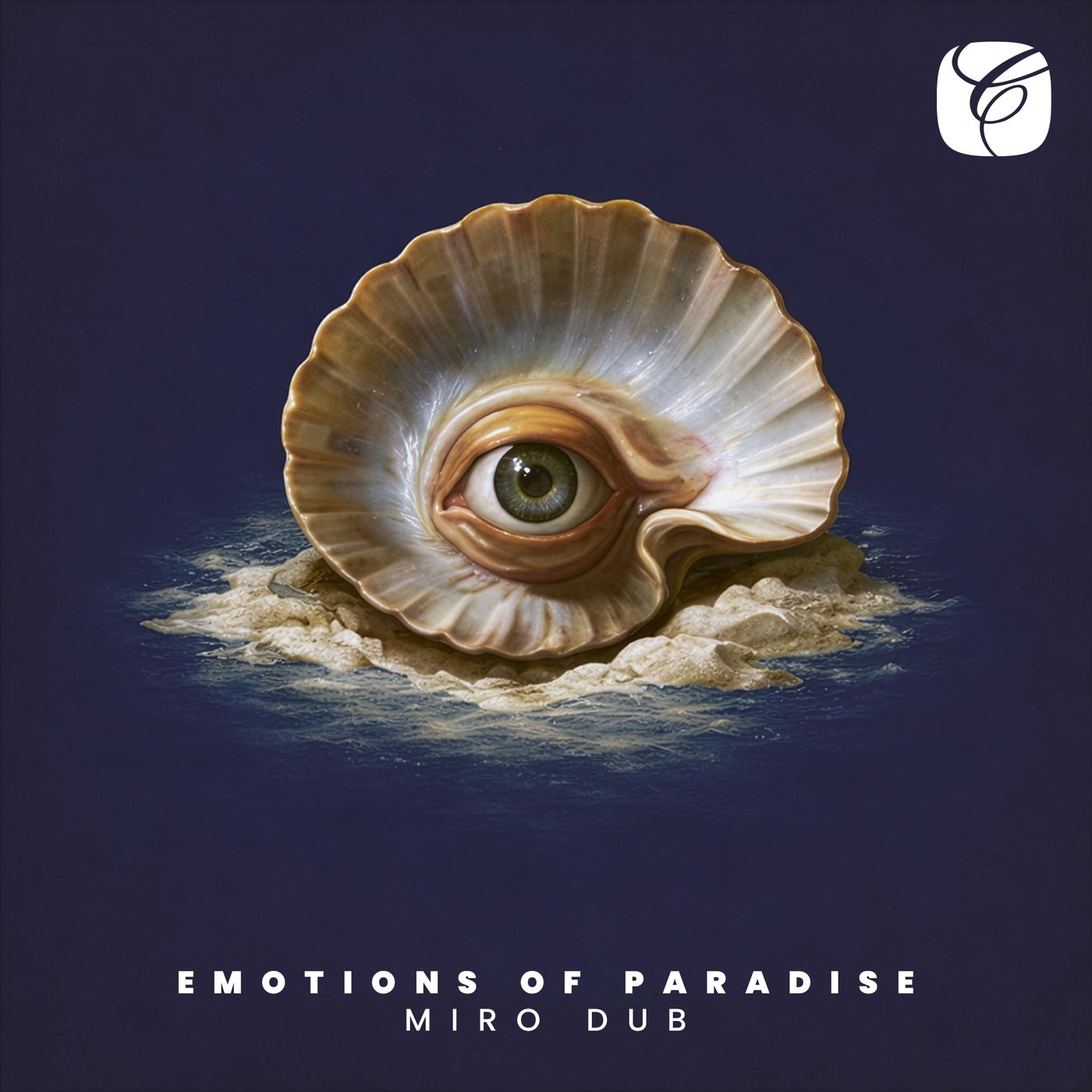 Cover - Miro, Mads Arp, Steen Thottrup - Emotions Of Paradise feat. Steen Thottrup feat. Mads Arp (Miro Dub Mix) Promo tools