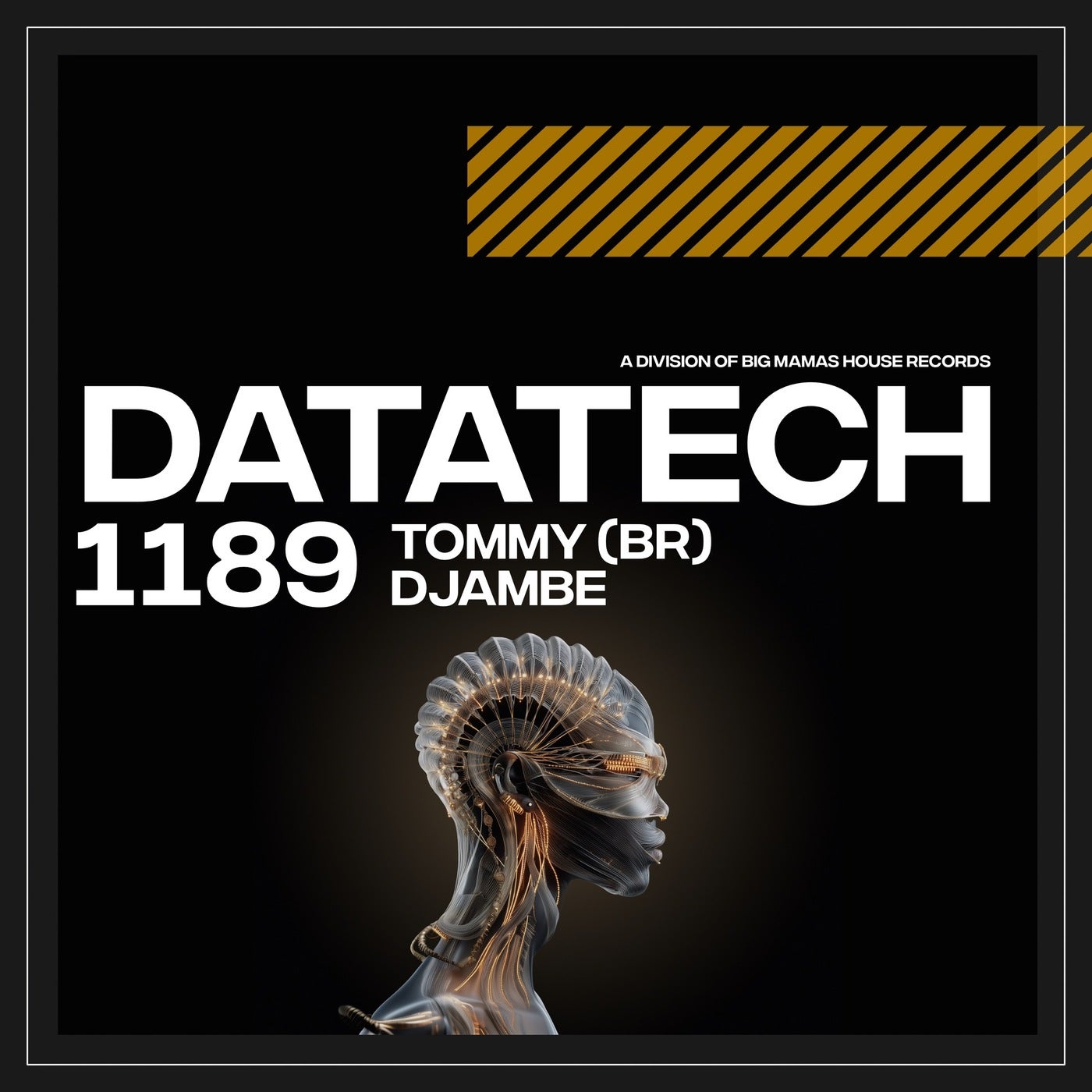 Cover - Tommy (BR) - Djambe (Extended Mix) Promo tools