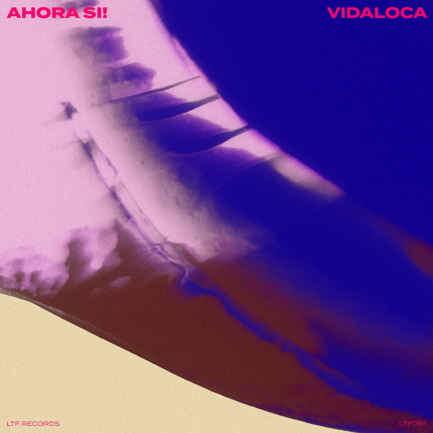 Cover - Vidaloca - Ahora Si! (Extended Mix) Promo tools