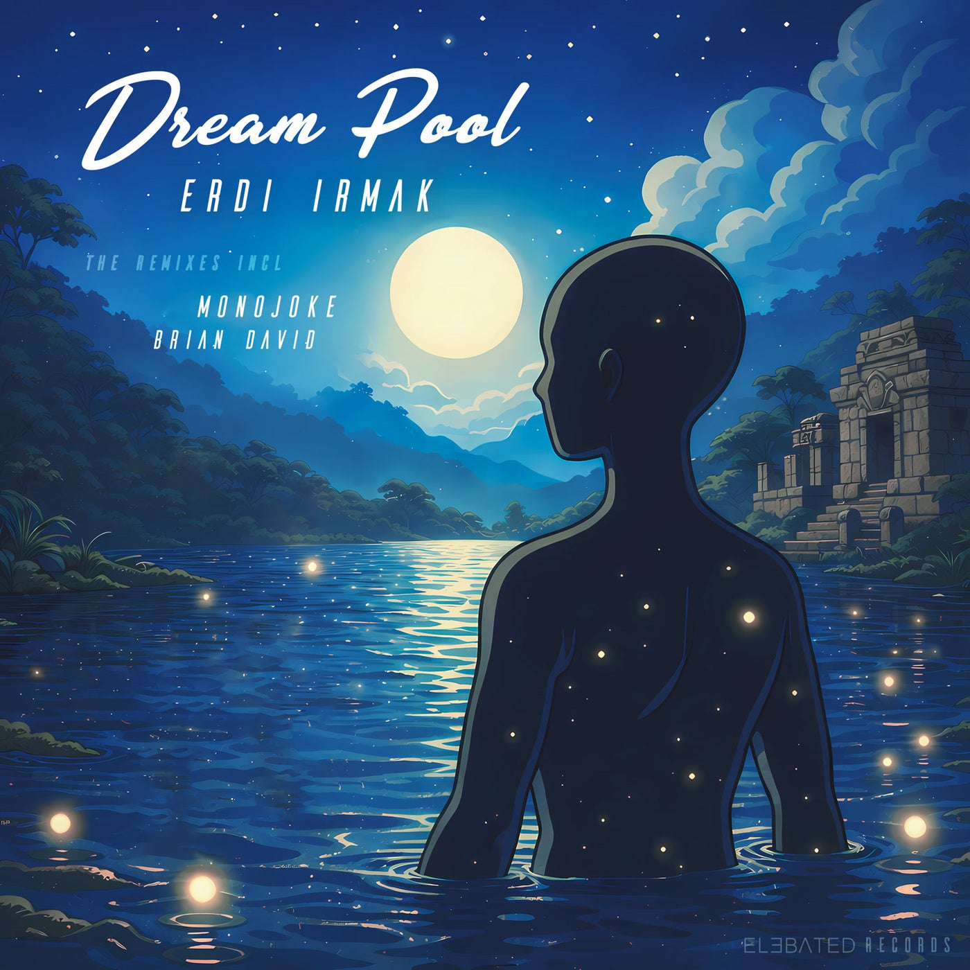 Cover - Erdi Irmak - Dream Pool (Original Mix) Promo tools