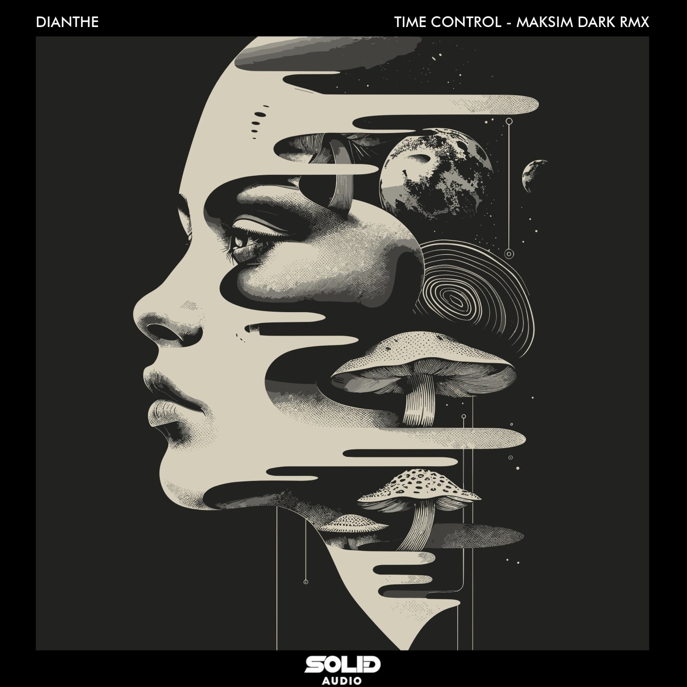 Cover - Dianthe - Time Control (Maksim Dark Remix) Promo tools