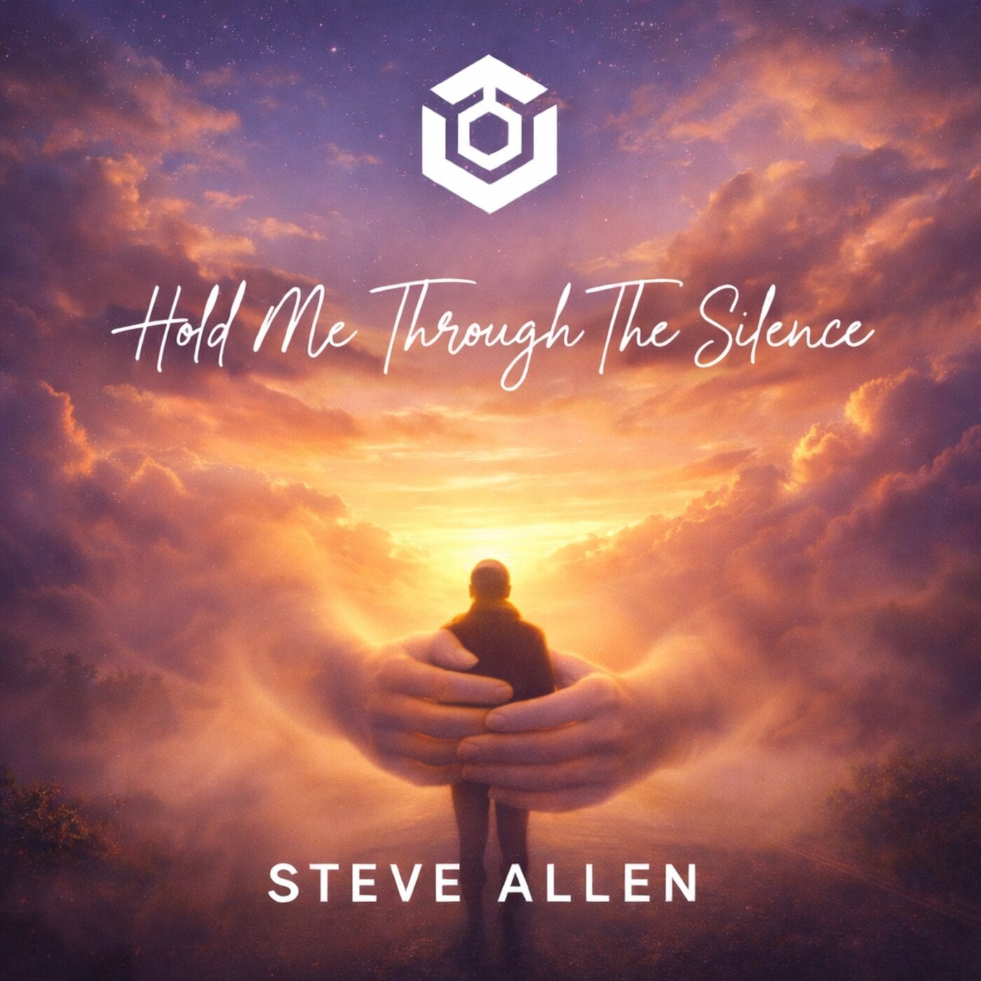 Cover - Steve Allen - Hold Me Through The Silence (Extended Mix) Promo tools
