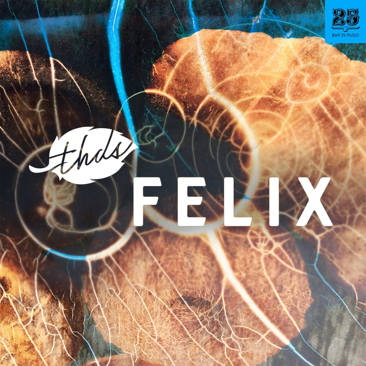 Cover - thds - Luara (Extended Mix) Promo tools