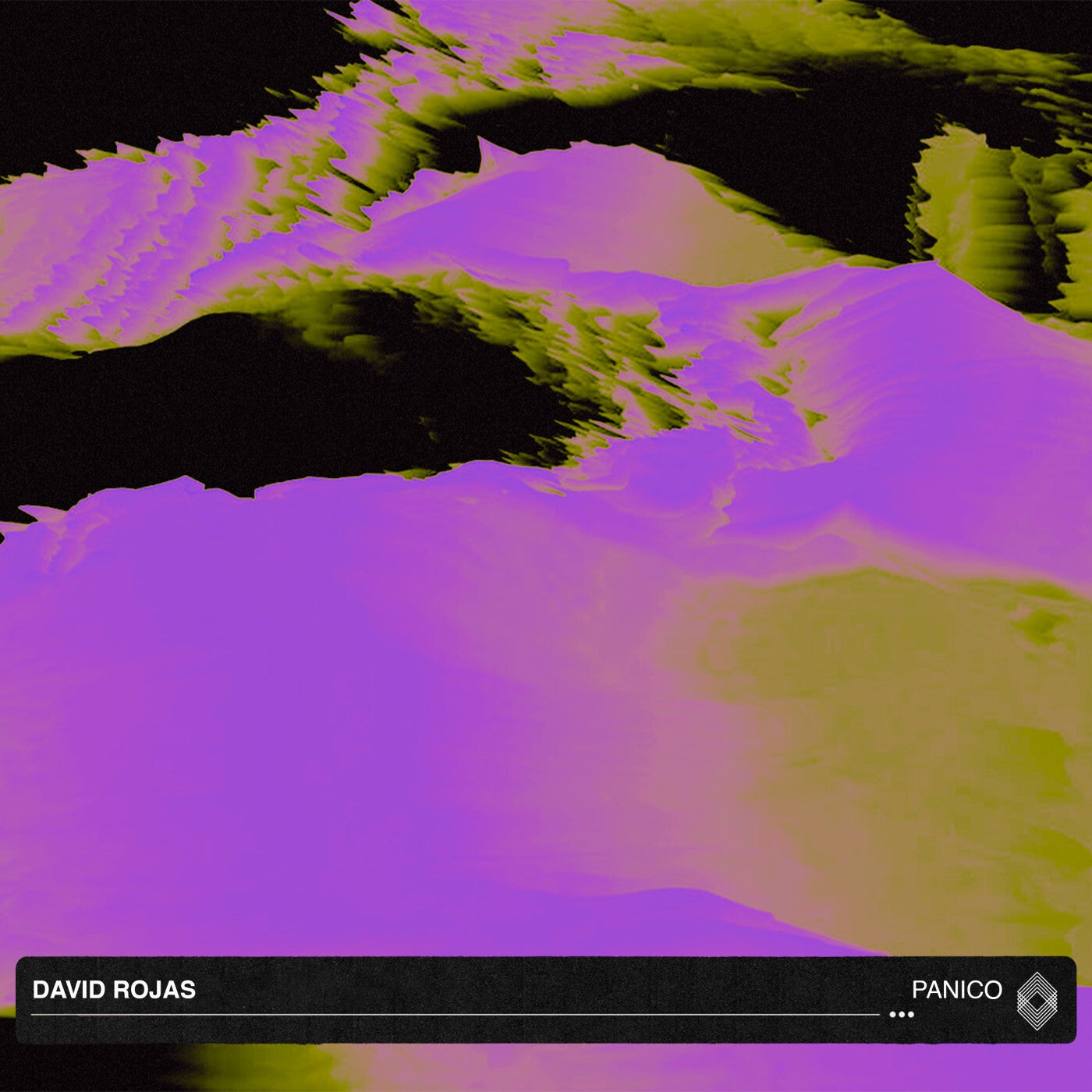 Cover - David Rojas - Panico (Original Mix) Promo tools