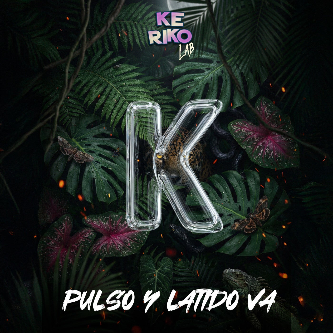 Cover - Ricardo Acosta, Cristotek - Sexy Ladies (Original Mix) Promo tools