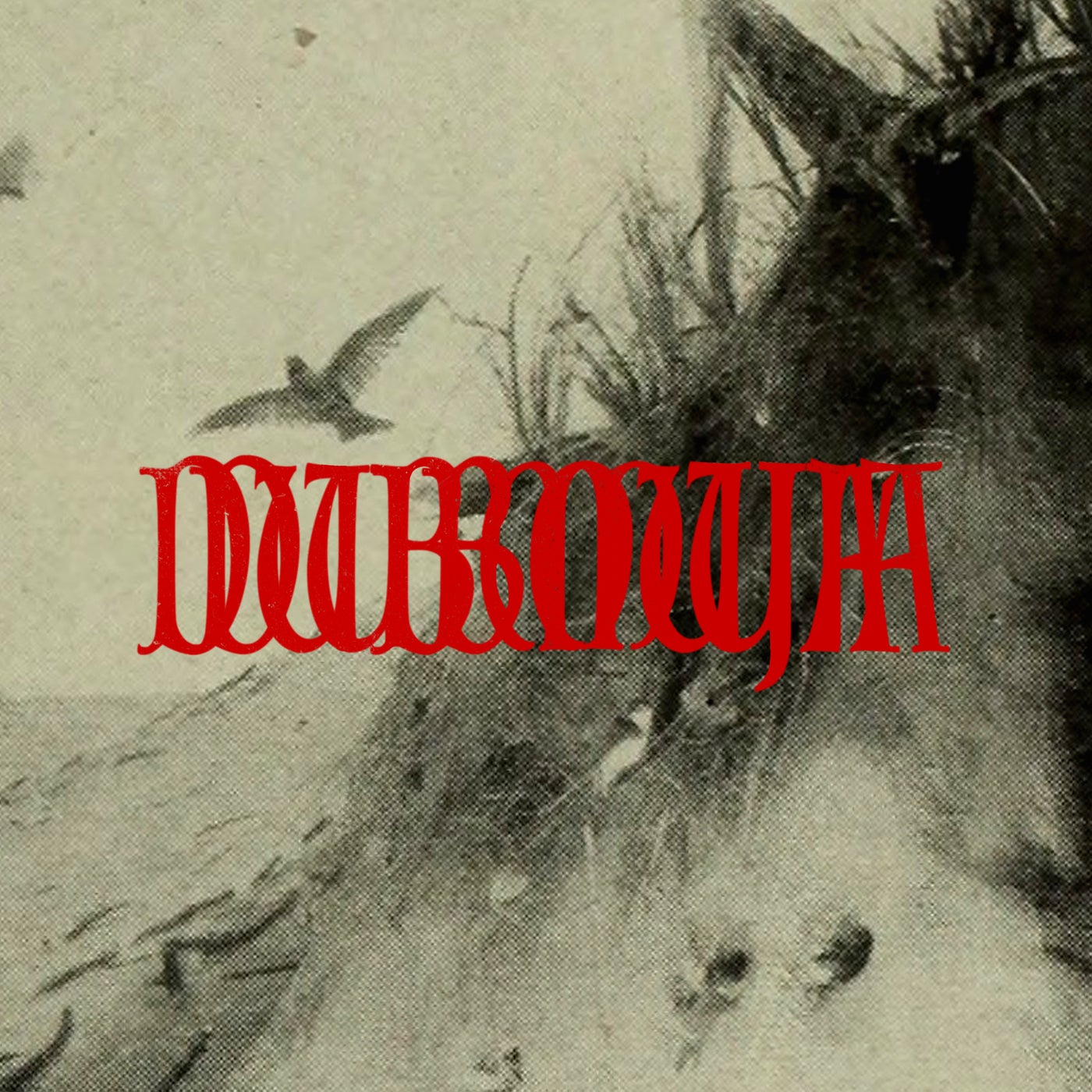 Cover - Demuja - Field Memory (Original Mix) Promo tools