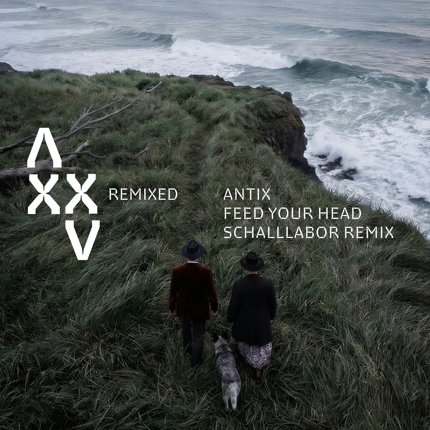 Cover - Antix, Schalllabor - Feed Your Head (Schalllabor Remix) Promo tools