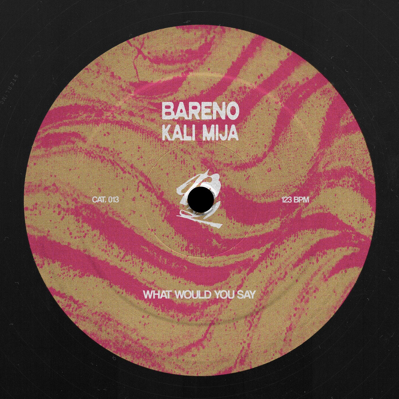 Cover - Kali Mija, Bareno - What Would You Say (Extended Mix) Promo tools
