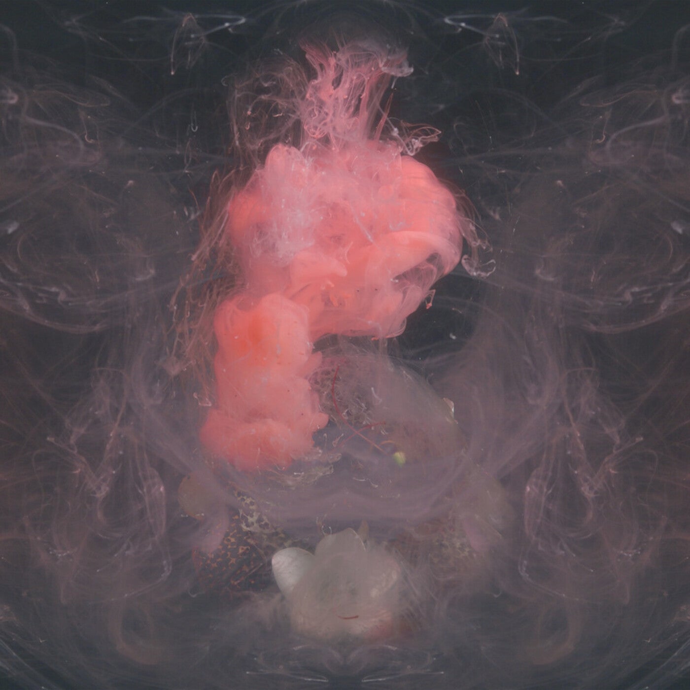 Cover - Panama, Christian Löffler - Flow Free (Original Mix) Promo tools