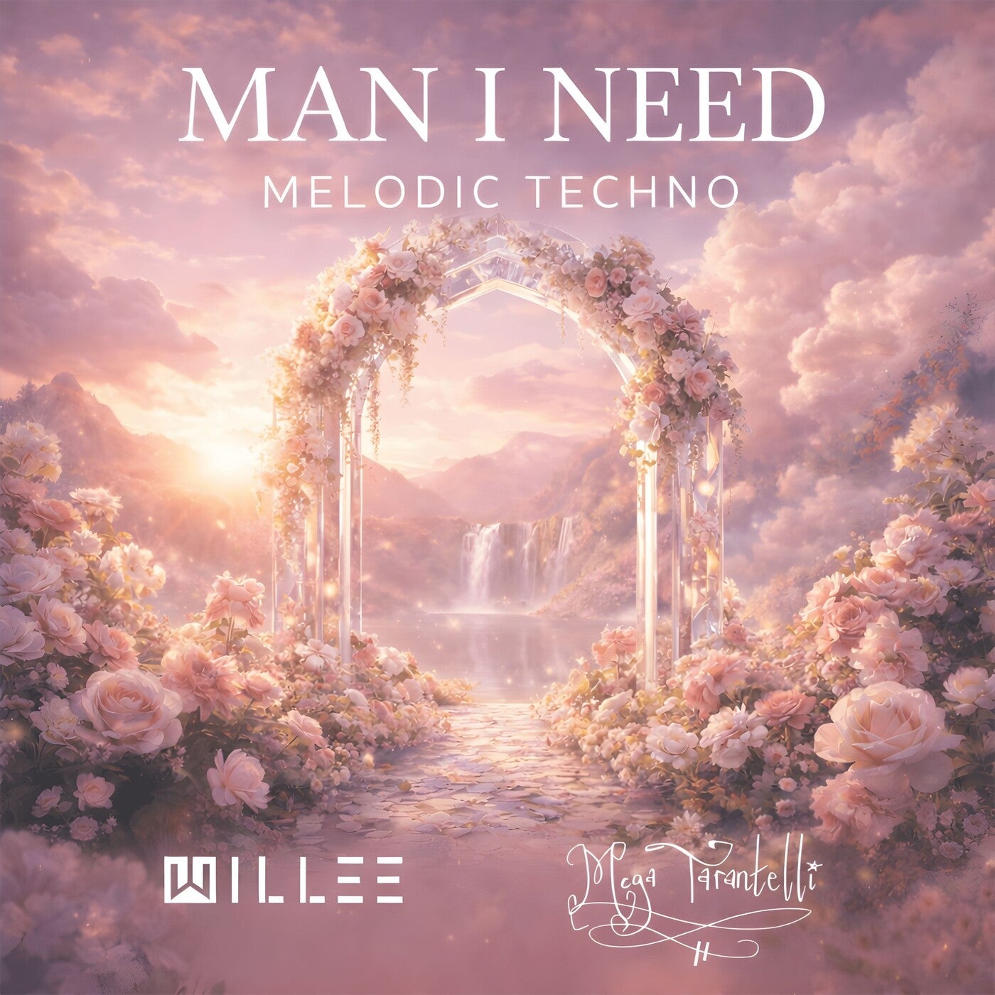 Cover - Mega Tarantelli, Dj Willee - Man I Need Melodic Techno (Original Mix) Promo tools
