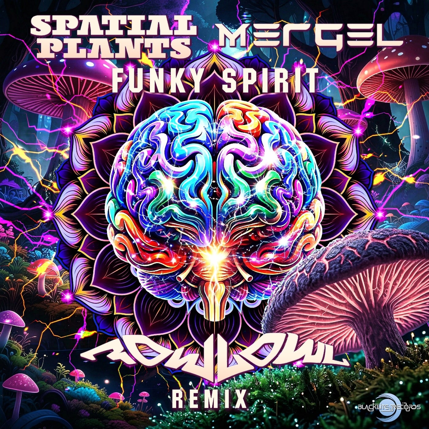 Cover - Mergel, Spatial Plants - Funky Spirit (FowlOwl Remix) Promo tools