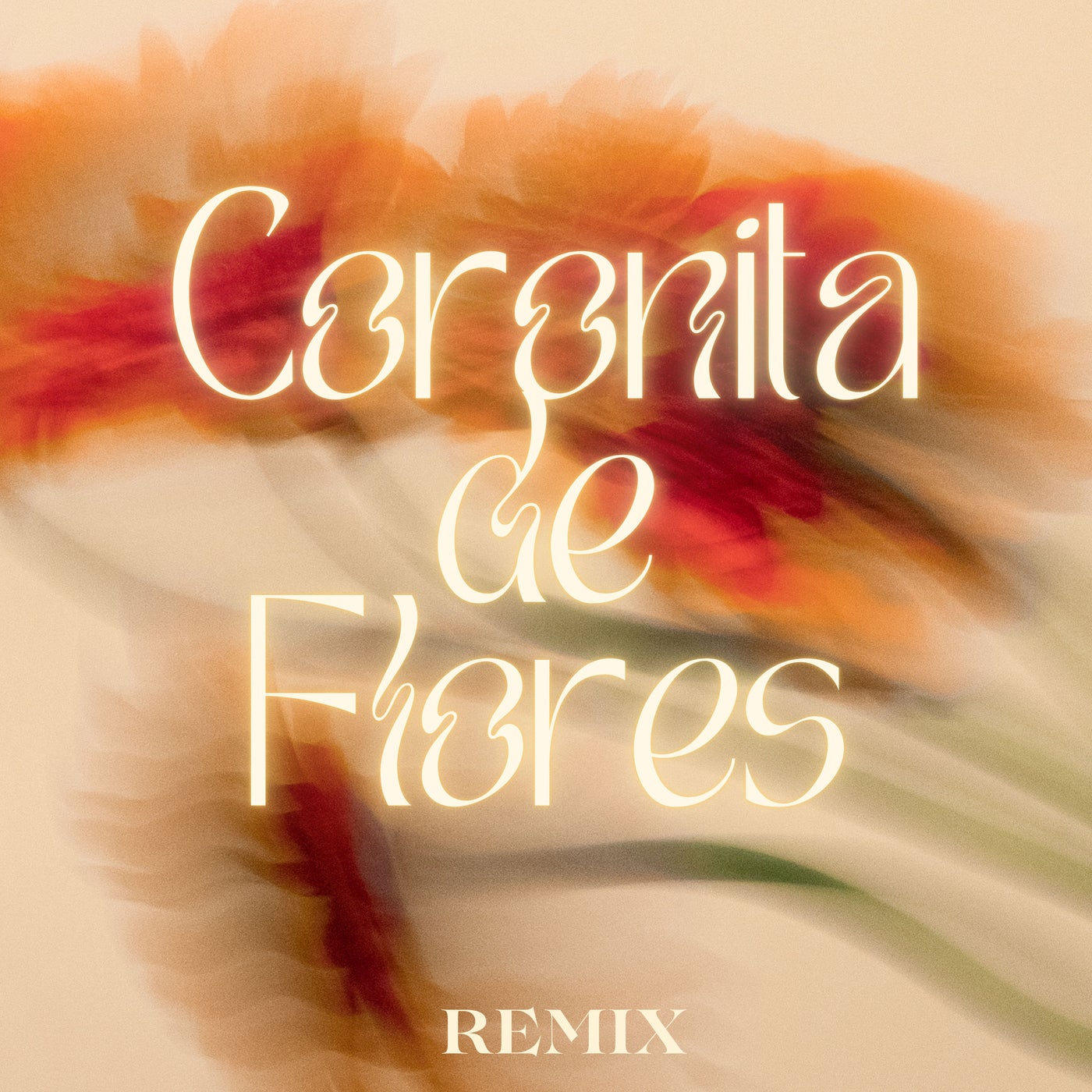 Cover - Juan Luis Guerra 4.40 - Coronita de Flores (Remix) Promo tools