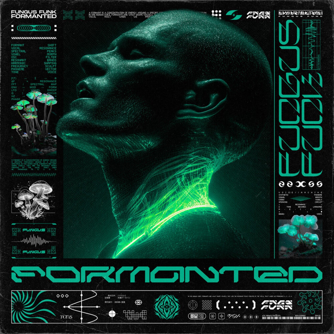 Cover - Fungus Funk, Aum Shanti - Saturday Mood (Original Mix) Promo tools