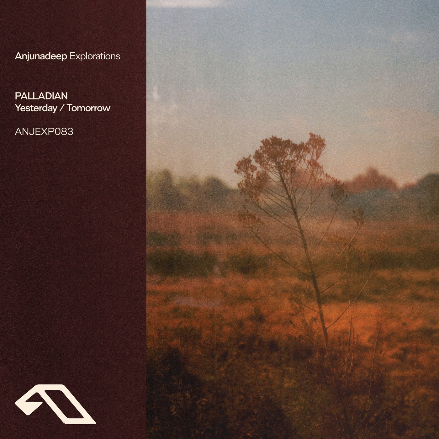Cover - PALLADIAN - Tomorrow (Extended Mix) Promo tools