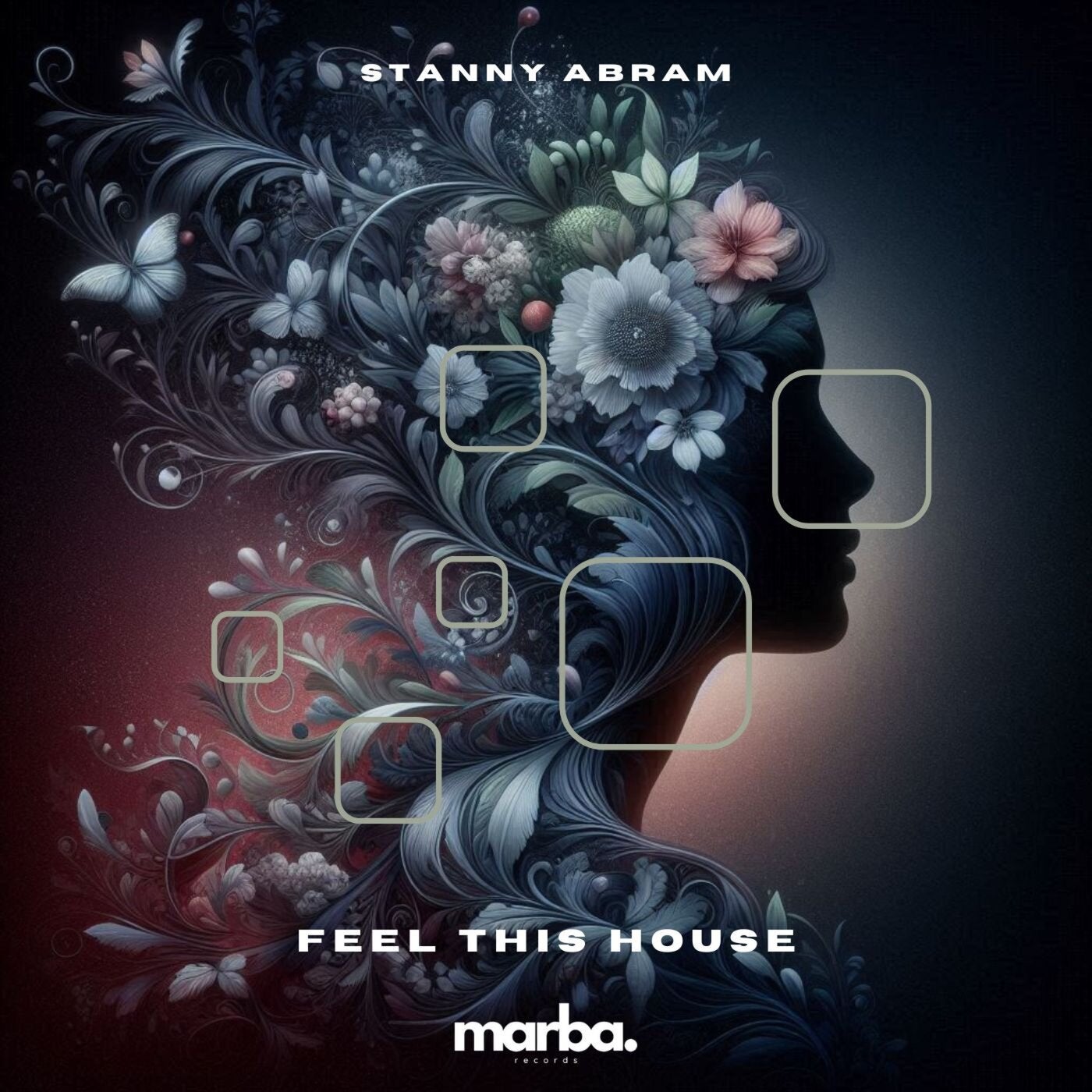 Cover - Stanny Abram - Feel This House (Original Mix) Promo tools