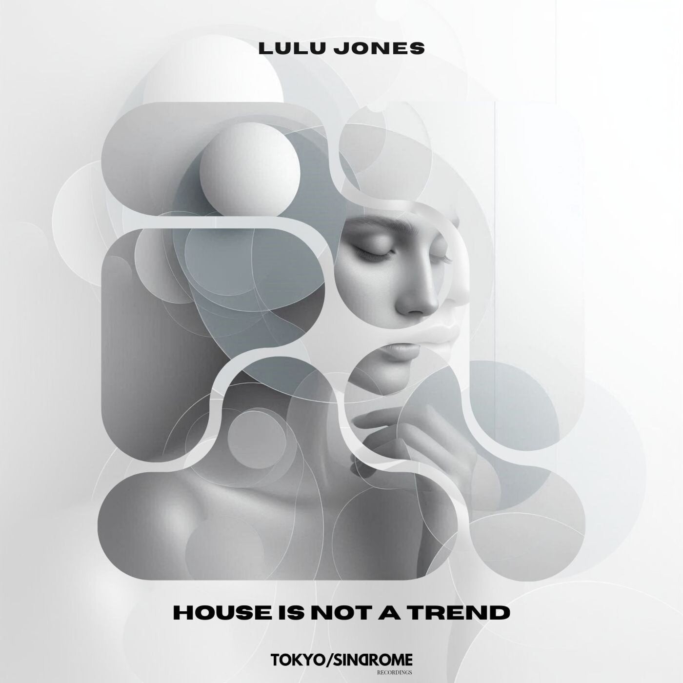 Cover - Lulu Jones - House Is Not A Trend (Original Mix) Promo tools
