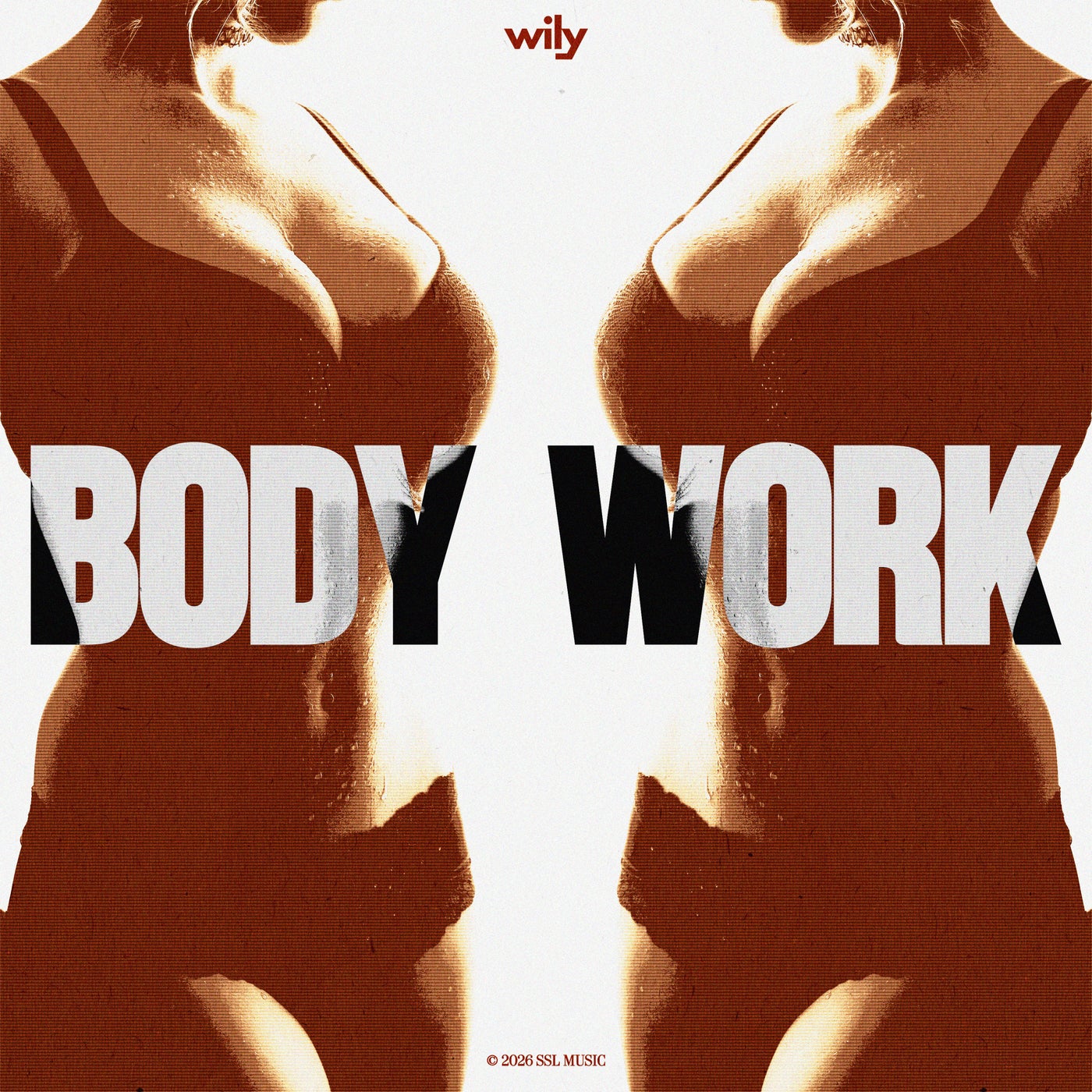 Cover - Wily (TR) - Body Work (Extended Mix) Promo tools