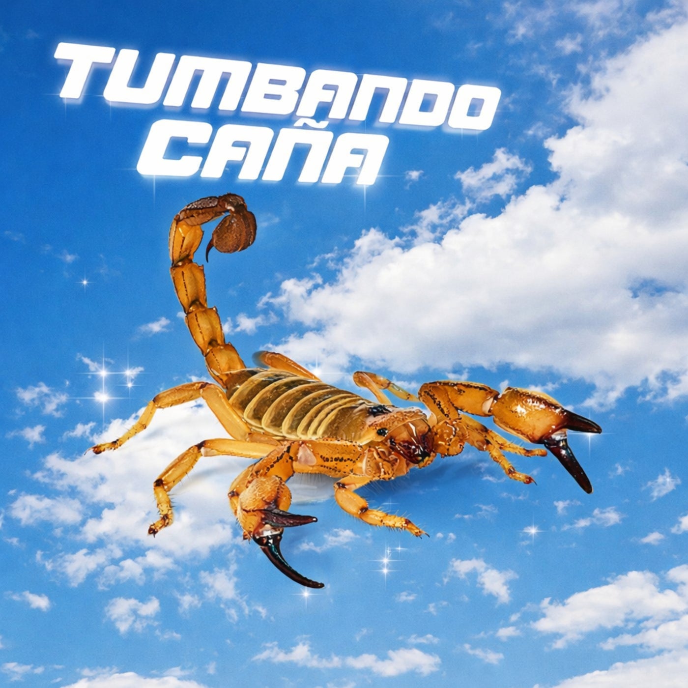 Cover - W.O.L.F., quip - Tumbando Caña (Original Mix) Promo tools