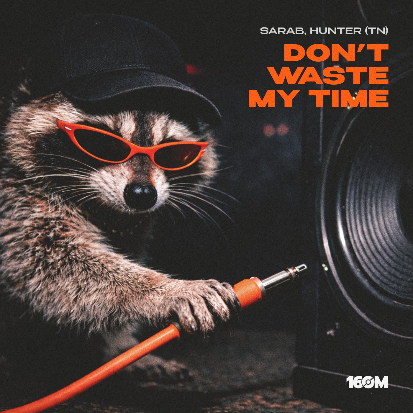 Cover - Sarab, HUNTER (TN) - Don't Waste My Time (Original Mix) Promo tools