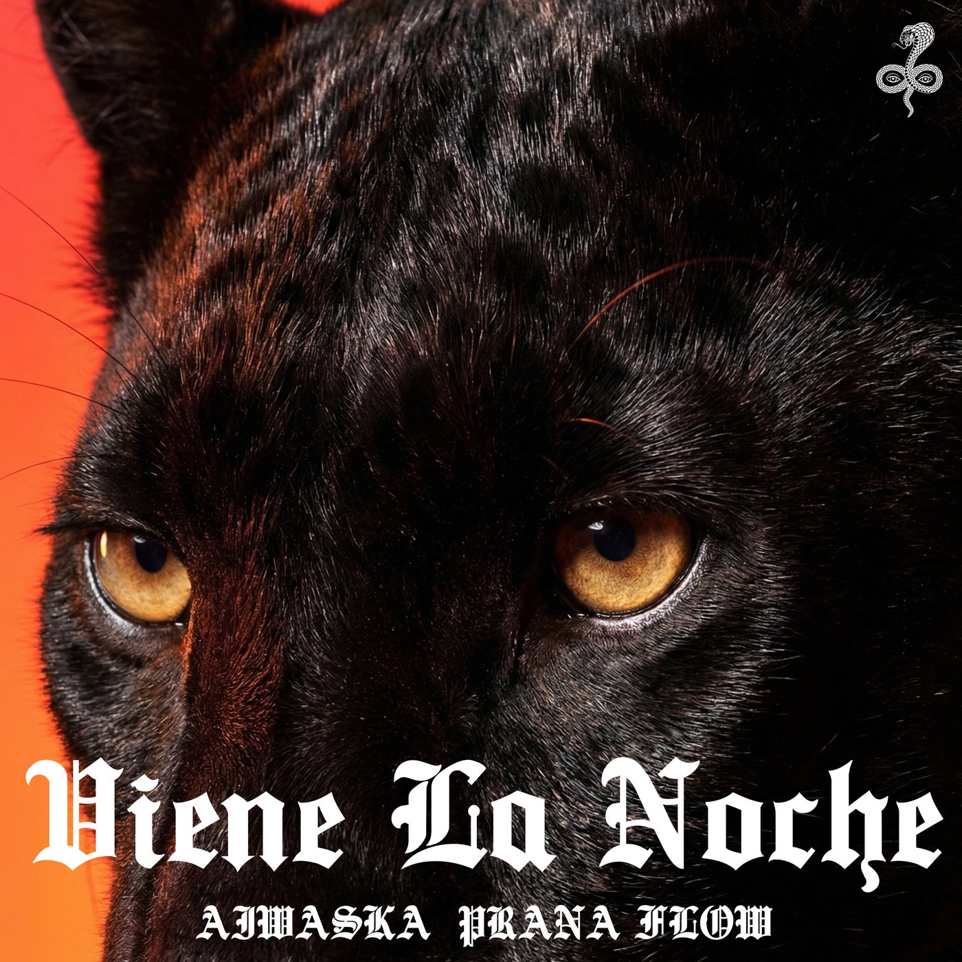 Cover - Aiwaska, Prana Flow - Viene La Noche (Extended Mix) Promo tools