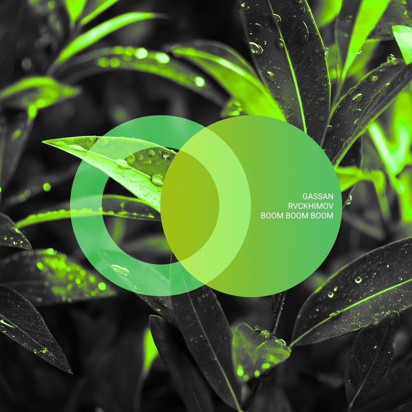 Cover - Gassan, Rvckhimov - Boom Boom Boom (Original Mix) Promo tools