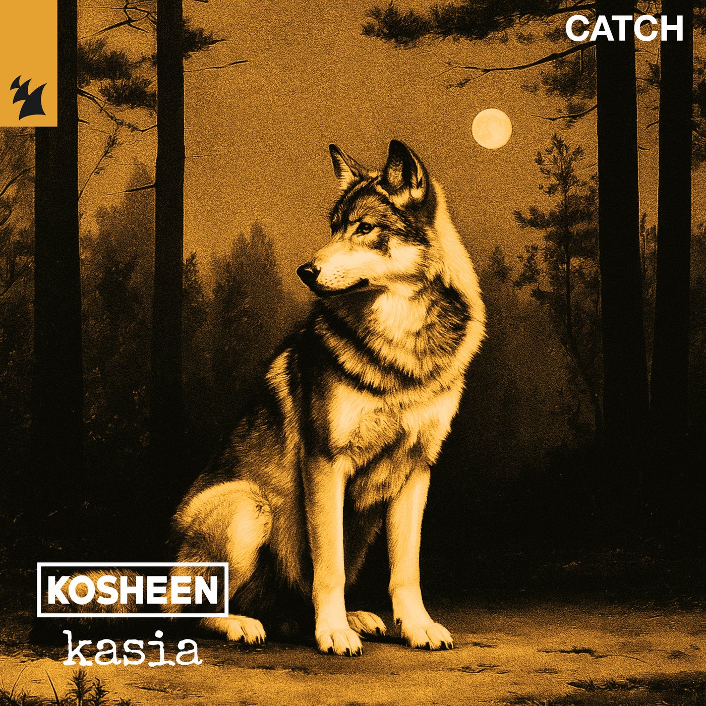 Cover - Kosheen, KASIA (ofc) - Catch (Extended Mix) Promo tools