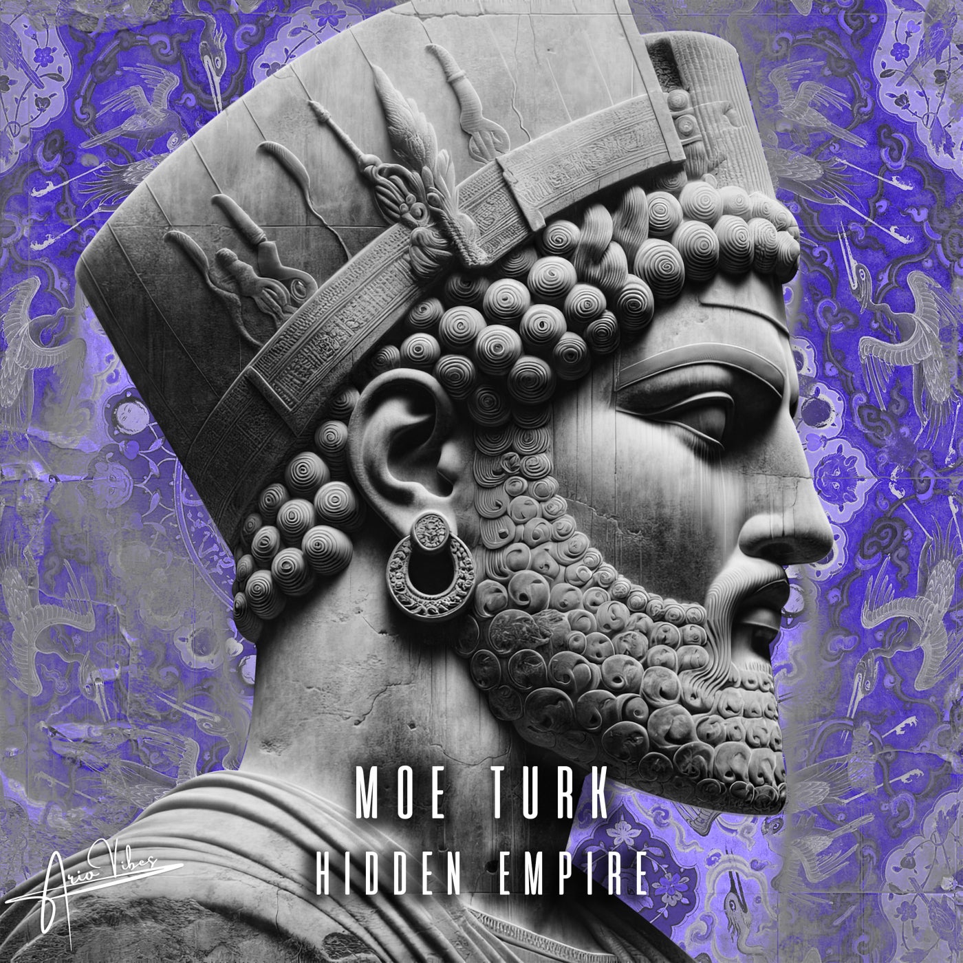 Cover - Moe Turk, Ario Vibes - Hidden Empire (Original Mix) Promo tools