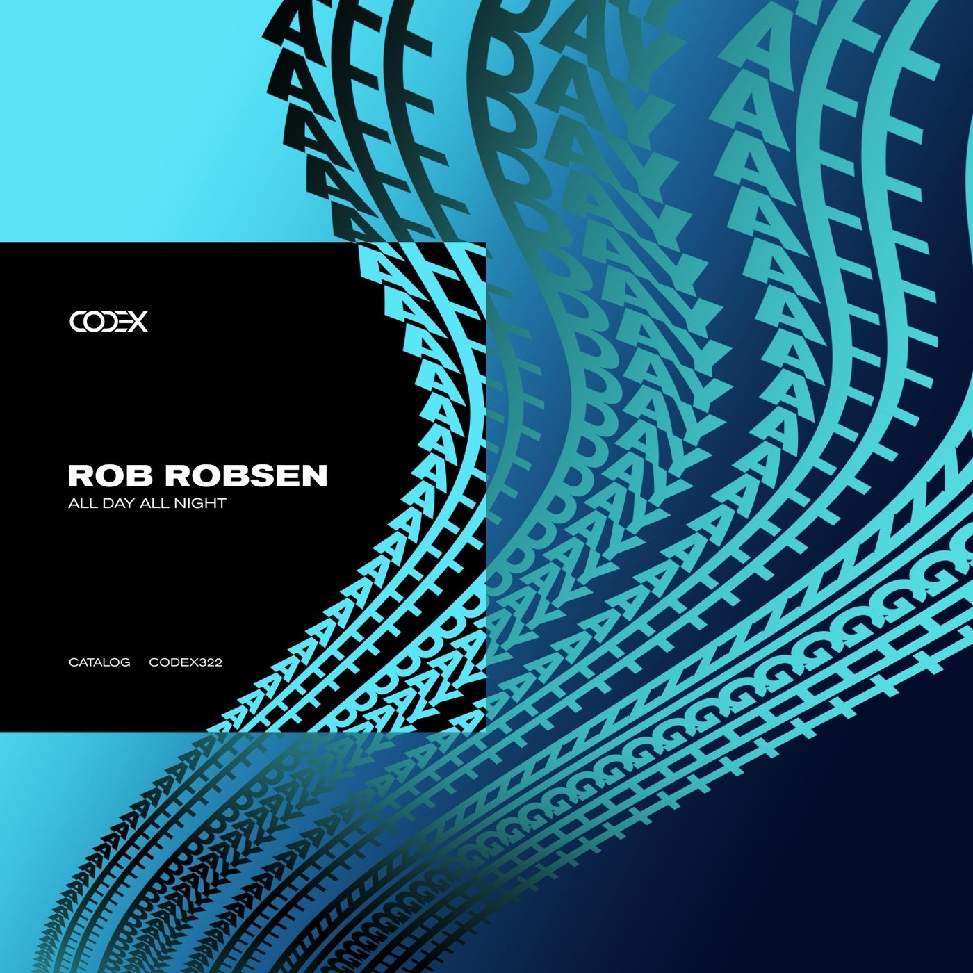 Cover - Rob Robsen - All Day All Night (Extended Mix) Promo tools