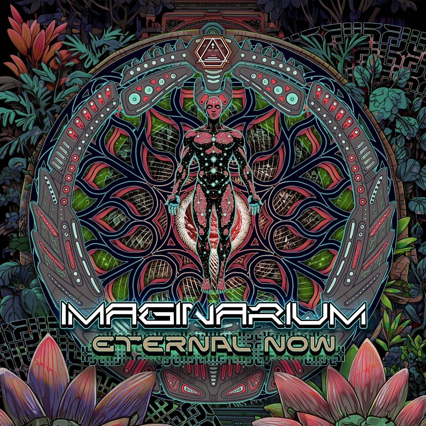 Cover - Imaginarium, Djantrix - Space Nutella (Original Mix) Promo tools