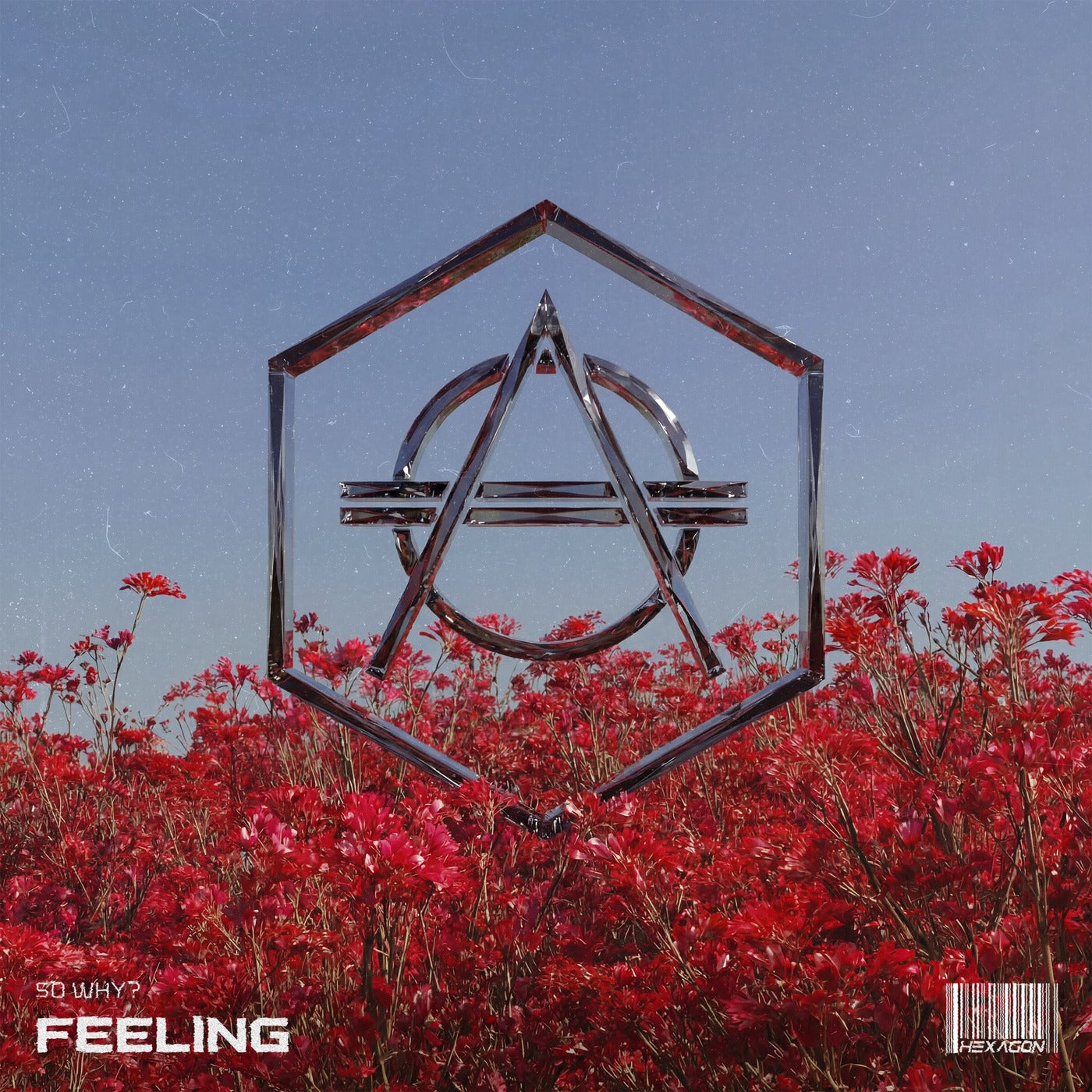 Cover - SoWhy? - Feeling (Extended Mix) Promo tools