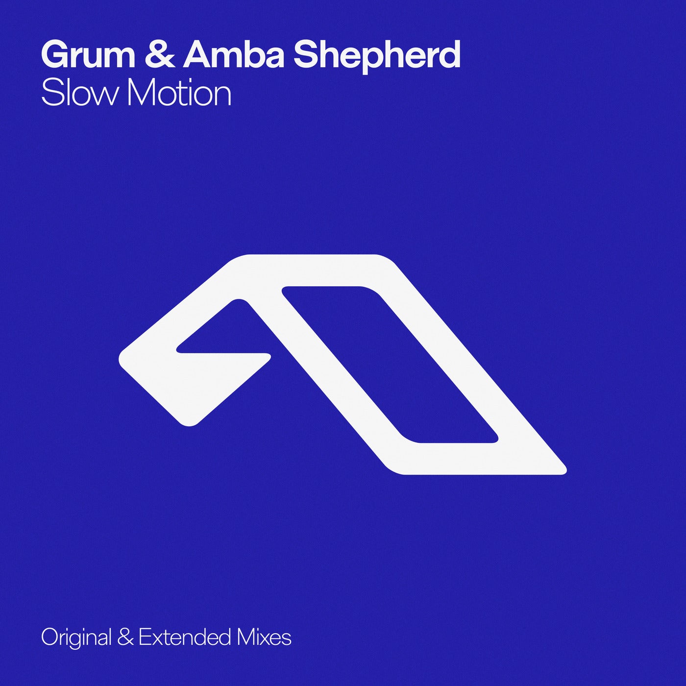 Cover - Grum, Amba Shepherd - Slow Motion (Extended Mix) Promo tools