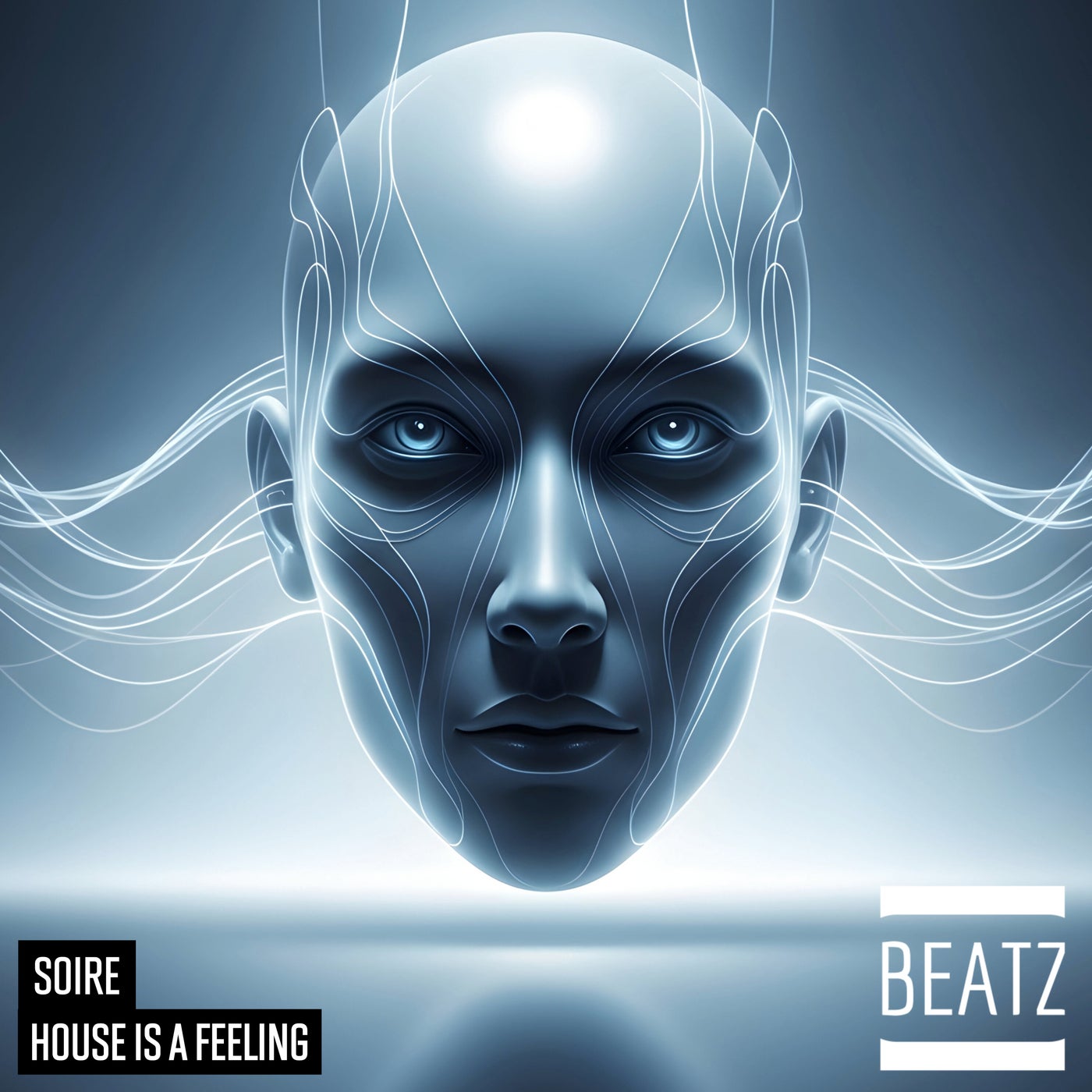 Cover - Soire - House Is A Feeling (Original Mix) Promo tools