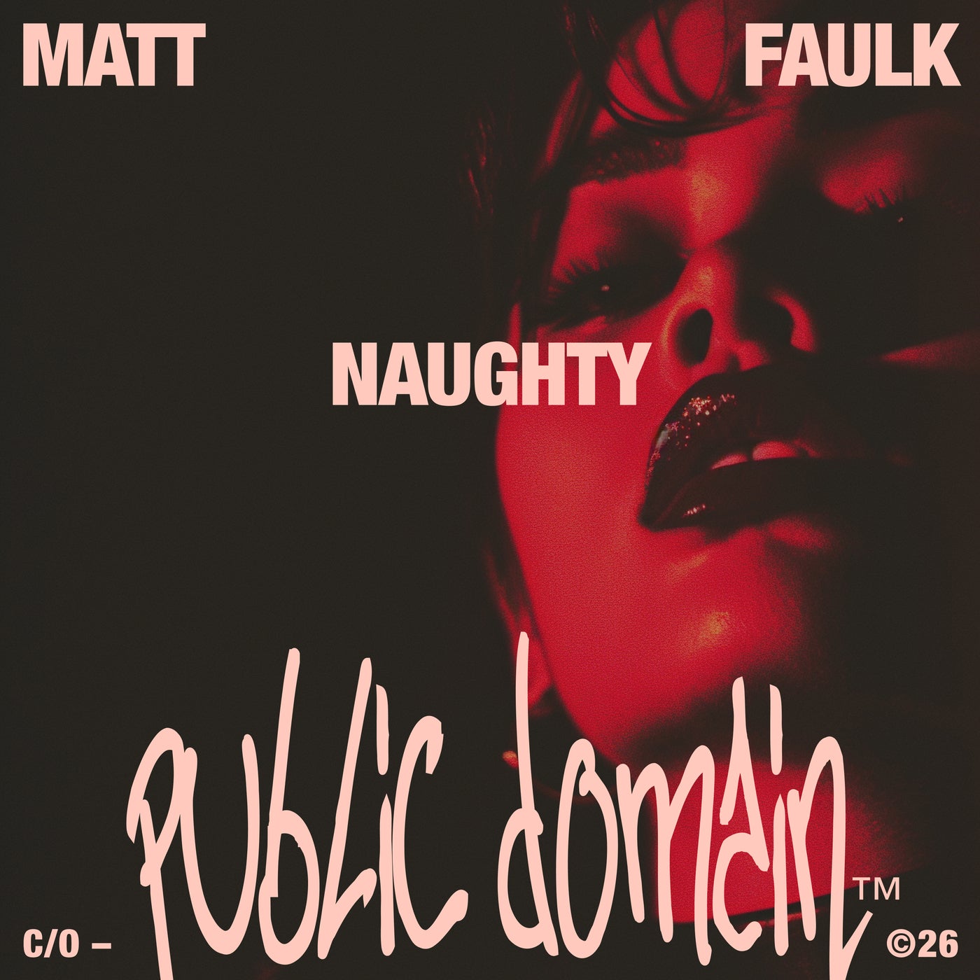 Cover - Matt Faulk - Naughty (Extended Mix) Promo tools