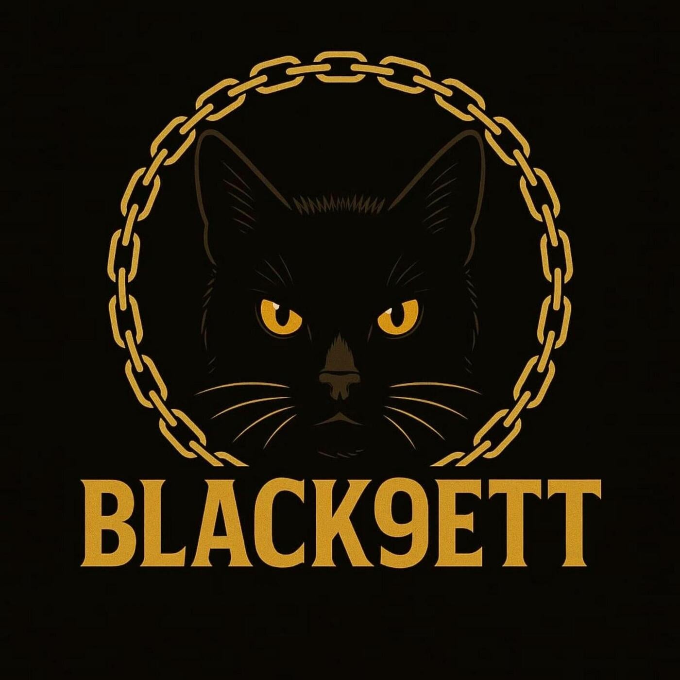 Cover - Black9ett - I DERREG 3LIA ZLAFTO (Original Mix) Promo tools