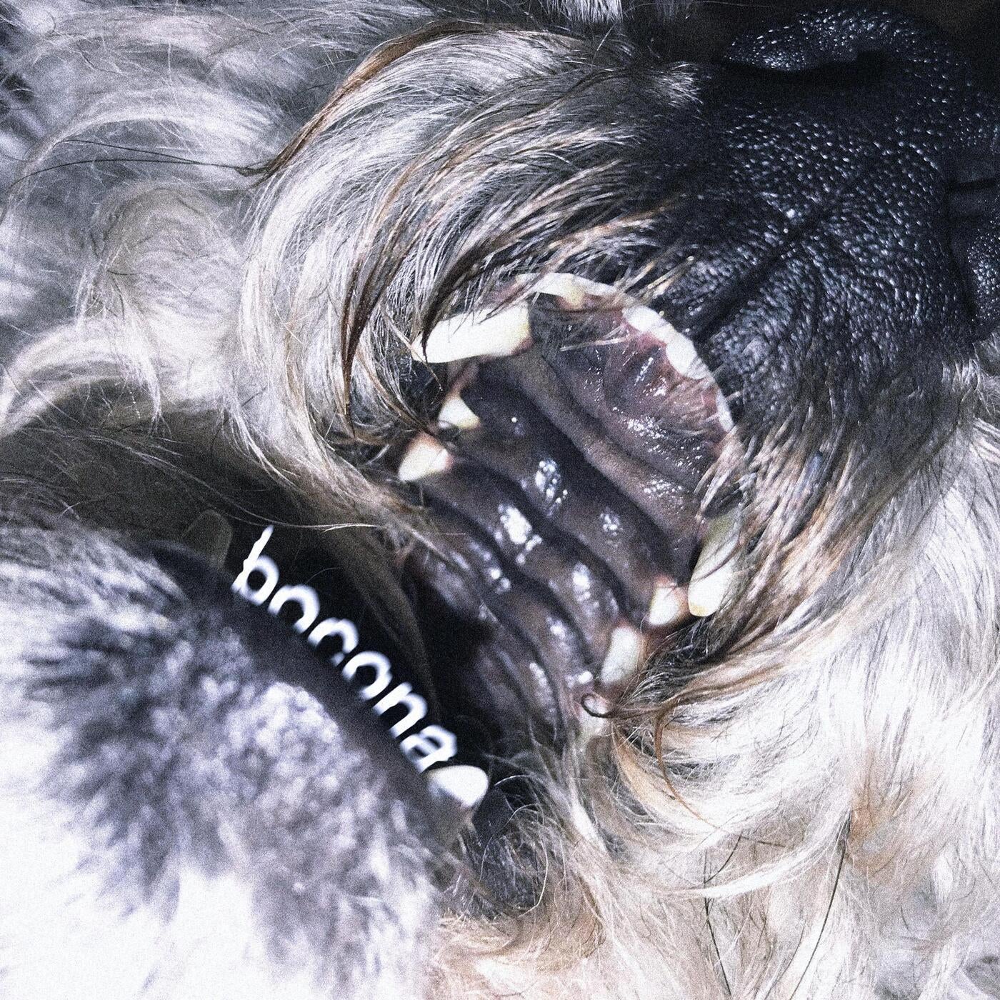 Cover - Brenda - Bocona (Original Mix) Promo tools