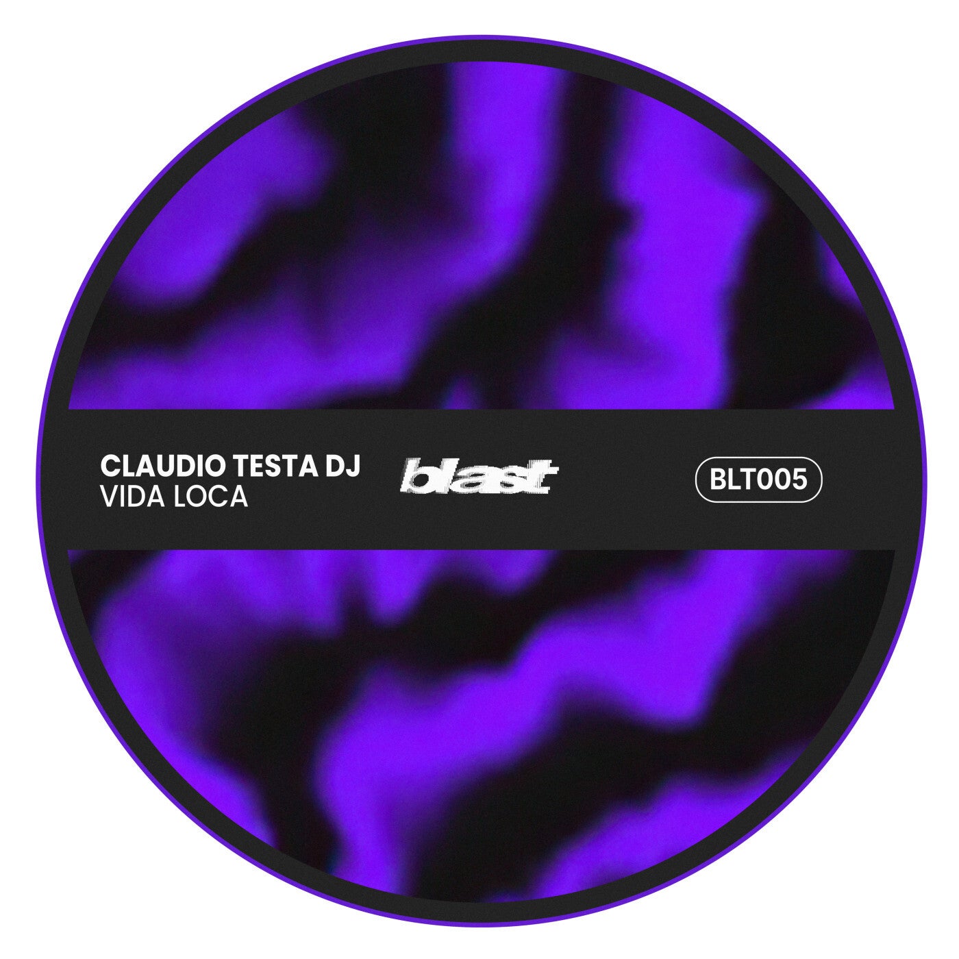 Cover - Claudio Testa Dj - Vida Loca (Extended Mix) Promo tools
