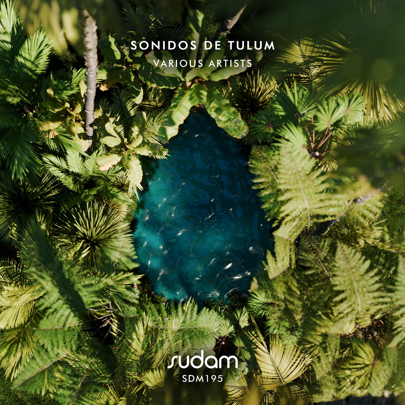 Cover - Chris Malice - Let go (Original Mix) Promo tools