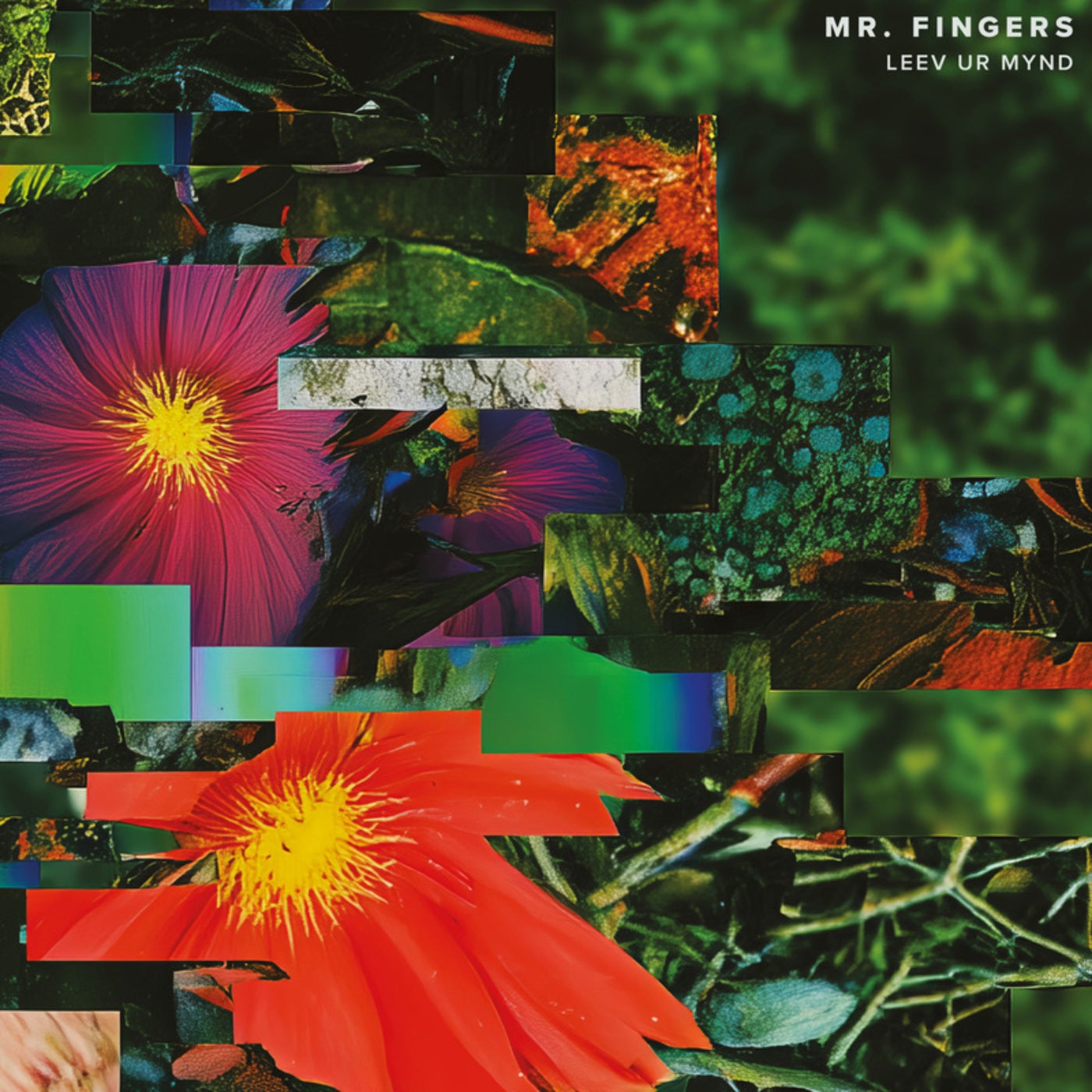 Cover - Mr. Fingers - Ribbons (Original Mix) Promo tools