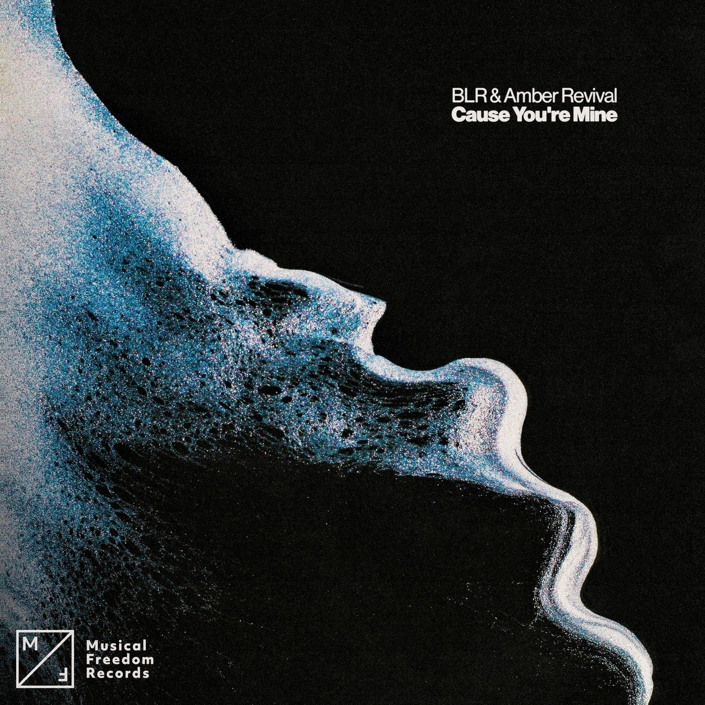 Cover - BLR, Amber Revival - Cause You're Mine (Extended Mix) Promo tools