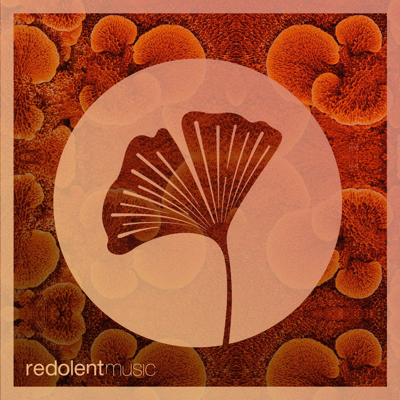Cover - Les Castizos, Nolek - El Fuego (Original Mix) Promo tools