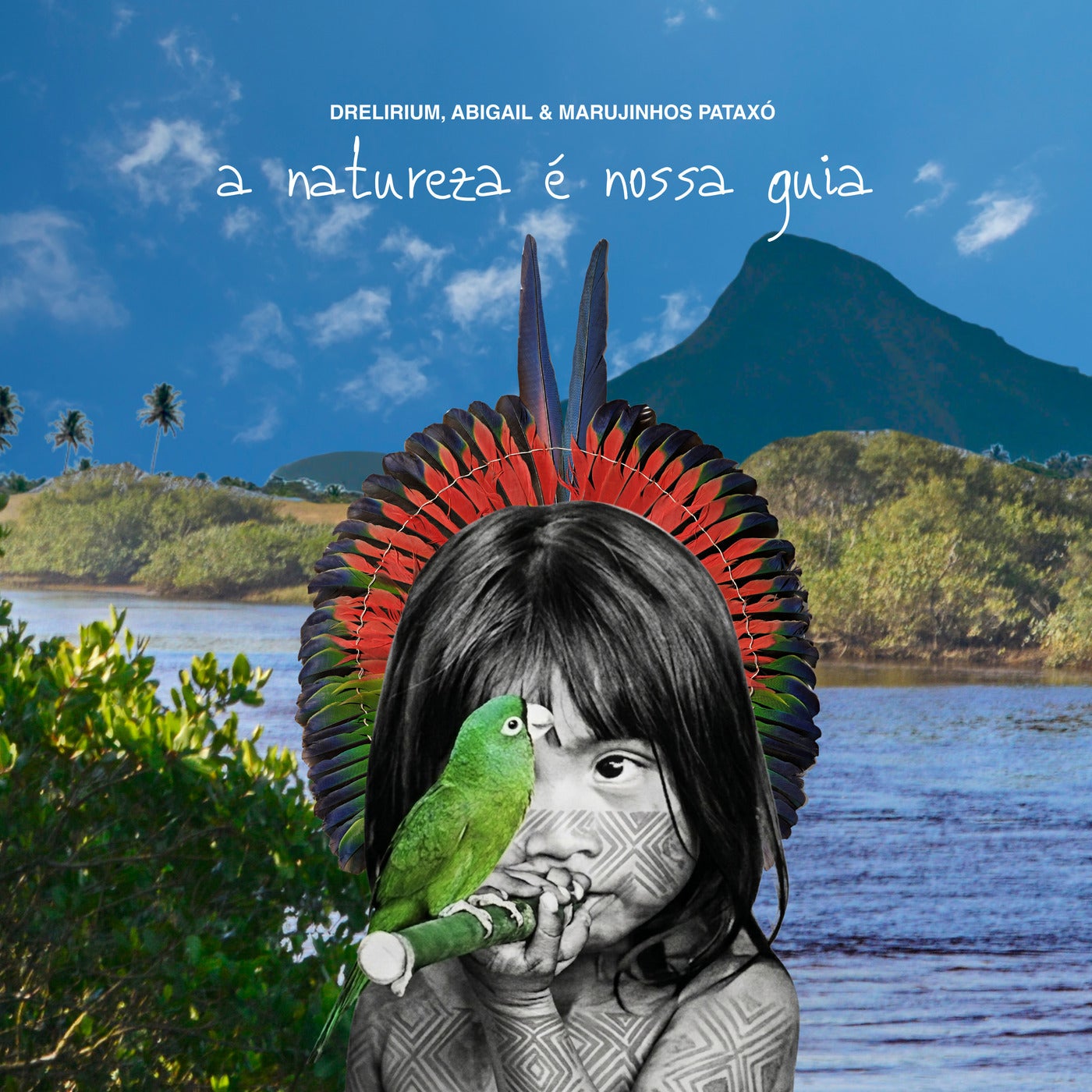 Cover - Drelirium, Abigail Sales, Marujinhos Pataxó - A Natureza É Nossa Guia (Original Mix) Promo tools