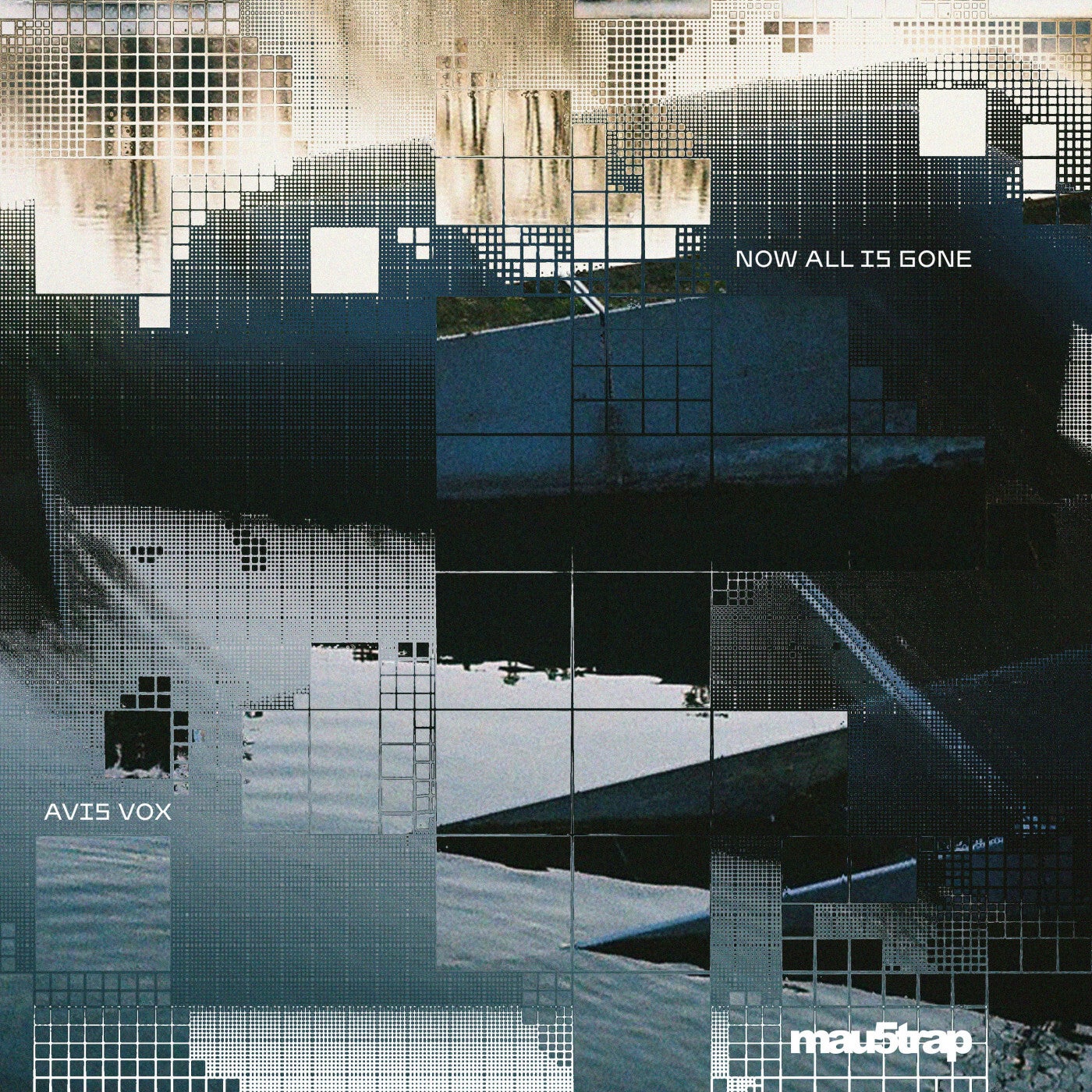 Cover - Avis Vox - Now All Is Gone (Extended Mix) Promo tools